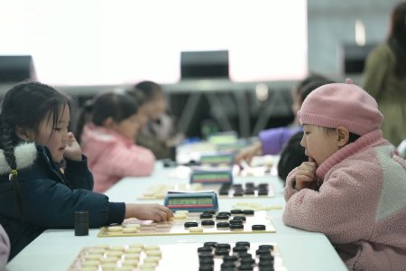 “Даам 2026” тэмцээнд 17 аймаг, есөн дүүргийн 400 гаруй тамирчин оролцож байна