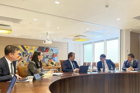 Финландын Туркугийн их сургуульд жил бүр 5 хүртэлх оюутан суралцуулна