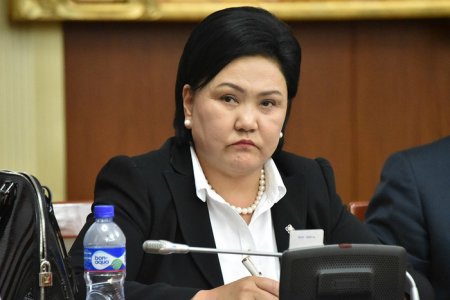 Д.ОЮУНХОРОЛ: МОНГОЛЫГ ДЭЛХИЙД ТАНИУЛАХ ТҮҮХЭН АЯЛАЛ ЖУУЛЧЛАЛЫН ЦОГЦОЛБОРЫН АЖЛЫГ АМЖИЛТТАЙ ЭХЭЛЛЭЭ