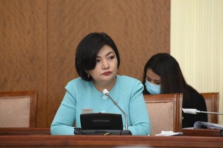 Самар түүх, бэлтгэхийг 10 хүртэлх жилээр хориглох санал гаргалаа