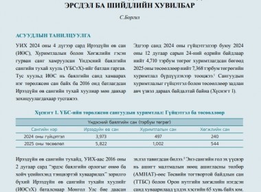 Үндэсний баялгийн сангийн тухай хууль, түүний хэрэгжилтэд анхаарах асуудал: Эрсдэл ба шийдлийн хувилбар - Бодлогын асуудал №50