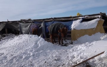 ЭМЯ: Иргэдэд  эрүүл мэндийн тусламж үзүүлэхээр орон нутагт 318 резидент эмчийг нэмэлтээр ажиллуулахаар болжээ