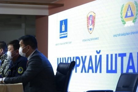 Долоодугаар сард 14 удаагийн нислэгээр 3397 иргэнээ татан авч байна