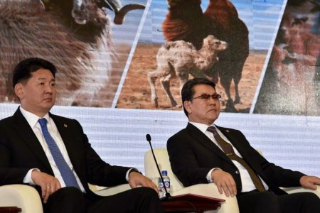 Мал зүйчдийн улсын зөвлөгөөн боллоо