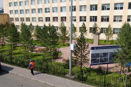 АШУҮИС-ийн гадна талбайд бичил цэцэрлэгт хүрээлэн байгуулав