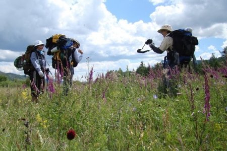 Ковид-19: Дотоодын аялагч нарт өгөх зөвлөмж