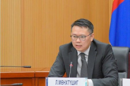 Чехээс ирсэн иргэнийг үнэхээр тус улсаас ирсэн үү гэдгийг тодруулах шаардлага байсан