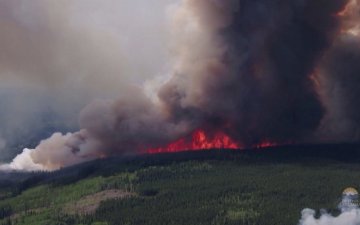 АНУ-ын Нью-Йорк хотын захирагч пүрэв гаргаас эхлэн амны хаалтыг оршин суугчдадаа үнэгүй тарааж эхэлнэ гэдгээ мэдэгджээ