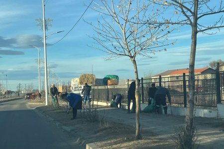 БҮХ НИЙТИЙН ХОГ ЦЭВЭРЛЭГЭЭ ЯВАГДАЖ БАЙНА!