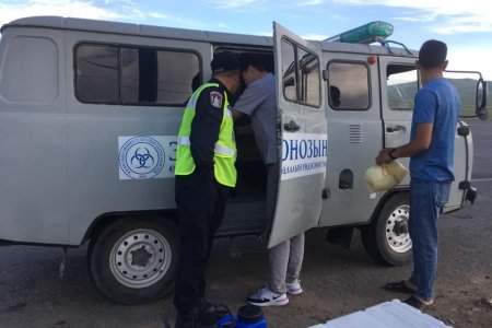 Эмээлтийн товчоогоор тарваганы нойтон тулам тээвэрлэж явсныг илрүүлэв