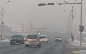 Иргэн: Агаарын бохирдлоос шалтгаалж ханиад томуугийн өвчлөл 2-3 сарын хугацаанд үргэлжилж байна