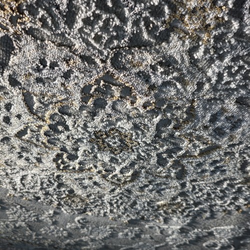sec image