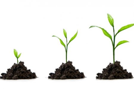 ЖИЖИГ ДУНД ҮЙЛДВЭРЛЭЛИЙГ ДЭМЖИХ ЖИШИГ ХУУЛЬ ХЭРЭГТЭЙ БАЙНА