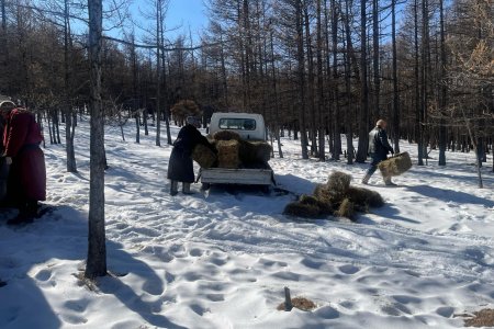 БИОТЕХНИКИЙН АЖИЛ ЗОХИОН БАЙГУУЛЛАА. 