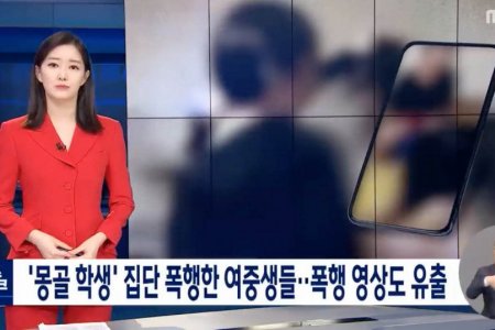 Солонгосын Хүний эрхийн комисс 13 настай монгол охины асуудалд анхаарч ажиллаж байна