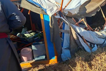 Завханд баавгай эзэнгүй айлын гэр рүү дайрчээ