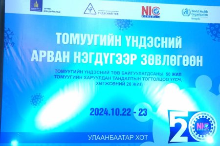 ДЭМБ: Жилд томуу, томуу төст өвчнөөр 290.000-650.000 гаруй хүн нас бардаг