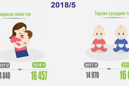 2018 оны эхний 5 сард 16604 хүүхэд мэндэлжээ