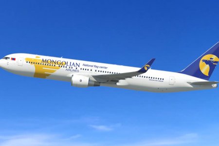 Олон улсын нислэгийн тийзийн үнийг бууруулах боломжгүй