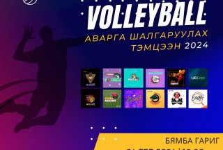 Volleyball tournament 2024
