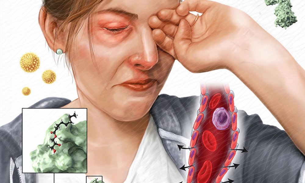 Харшлыг тоохгүй өнгөрөөвөл юу болох вэ? 