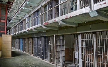 Нигери улсад 1838 хоригдол оргожээ