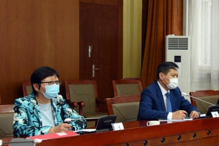 Т.Бадрал, Н.Эрдэнэтуяа нарыг Элчин сайдаар томилохыг дэмжлээ