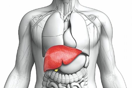 Дэлхийн 10 гаруй улсад вируст Гепатитын шинэ төрлийн халдвар бүртгэгджээ