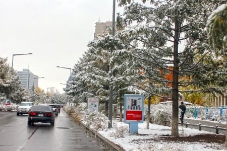 Цас орж, ихэнх нутгаар хүйтэн байна