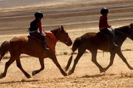 Г.Ууганбаатар: Хурдан морь унаж байгаа хүүхдэд зориулсан шинэ стандарт батлагдсан ч хэрэгжилт сул байна