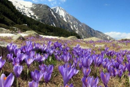 Тавдугаар сарын цаг агаарын ерөнхий төлөв