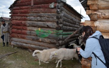 Г.Энхболд: Малчин Доржийн хотонд байсан хонины мах гэдгийг мэдэх боломжтой боллоо