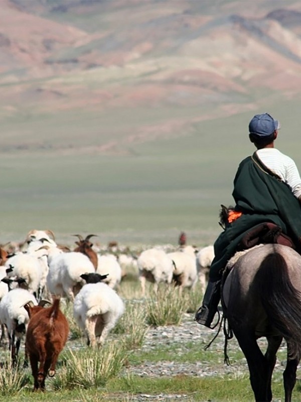 Малчдын туршлага судлах аялал 