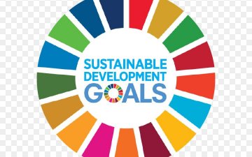 Тогтвортой Хөгжилд Салбарын Оролцоо 