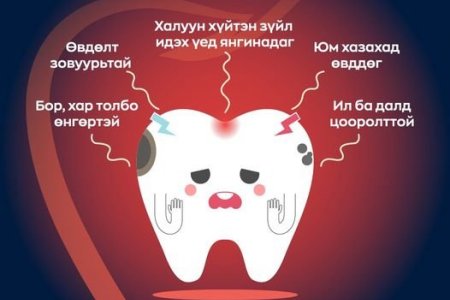 Шүд эрүүл бол Бие эрүүл