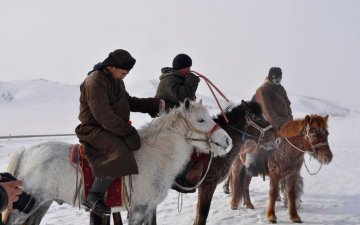 МАЛ ЭМНЭЛГИЙН ХҮРЭЭЛЭНГИЙН ЭРДЭМТЭД ЗУДЫГ ДАВАН ТУУЛАХ АРГА ЗАМЫН ТАЛААР ЗӨВЛӨГӨӨ ӨГЧ АЖИЛЛАЖ БАЙНА