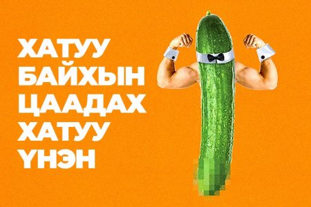 Хатуу байхын цаадах хатуу үнэн