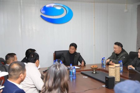 Үржлийн бус бог мал экспортлоно