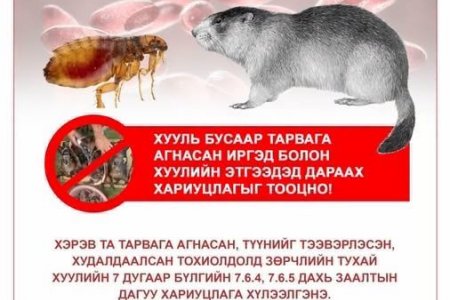 Тарваган тахлаас сэргийлье!!!