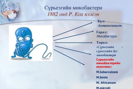 Өнөөдөр “Сүрьеэтэй тэмцэх дэлхийн өдөр”