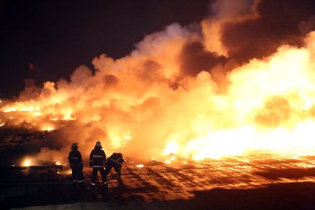 СЭРЭМЖЛҮҮЛЭГ: Өнгөрсөн онд 176 га талбай түймэрт өртжээ