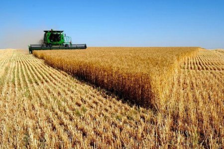 Энэ жил 538 мянган тонн  үр тариа, 518 мянган тонн улаанбуудай хурааж авахаар төлөвлөжээ 