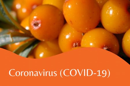 БНСУ-ын эрдэмтэд чацарганаас Coronavirus (COVID-19)-ийг дарангуйлдаг бодис илрүүлжээ