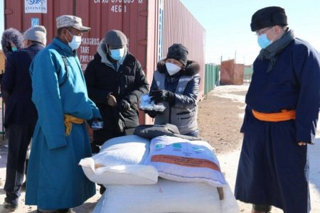 Өвөлжилт хүндэрсэн аймгийн зорилтот бүлгийн малчдад тэжээлийн тусламж хүргэлээ