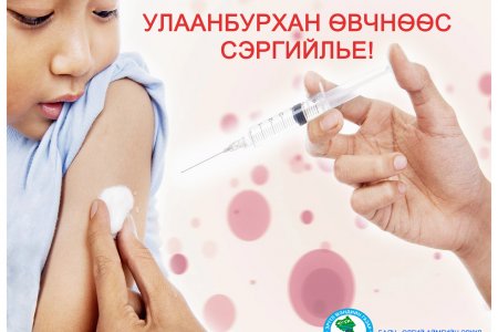 УЛААНБУРХАН ӨВЧНИЙ ТАЛААР ИРГЭД ТАНЫ МЭДЛЭГТ