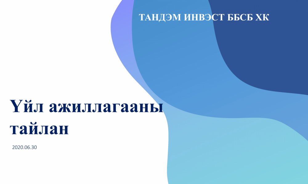 2020 оны хагас жилийн тайлан