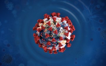 Дэлхий дахинд 