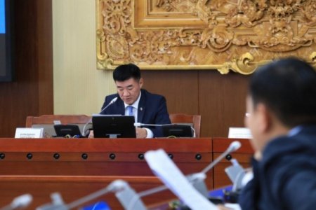 Байнгын хороо Цэцийн дүгнэлтийг хүлээж авах нь зүйтэй гэж үзлээ