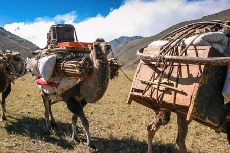 ЮНЕСКО: Соёл бол улс орны нийгэм, эдийн засгийн хөгжлийг дэмжих гол хөдөлгөгч хүчин зүйл