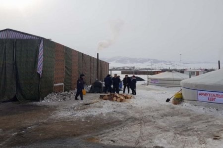 Орхон аймагт шүлхий өвчин гарчээ